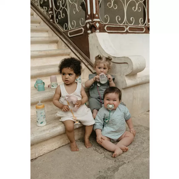 SUAVINEX Krabička na dudlík Walk