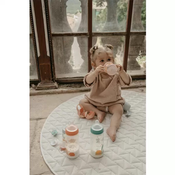 SUAVINEX Krabička na dudlík Dreams