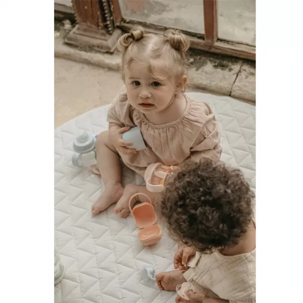 SUAVINEX Krabička na dudlík Dreams