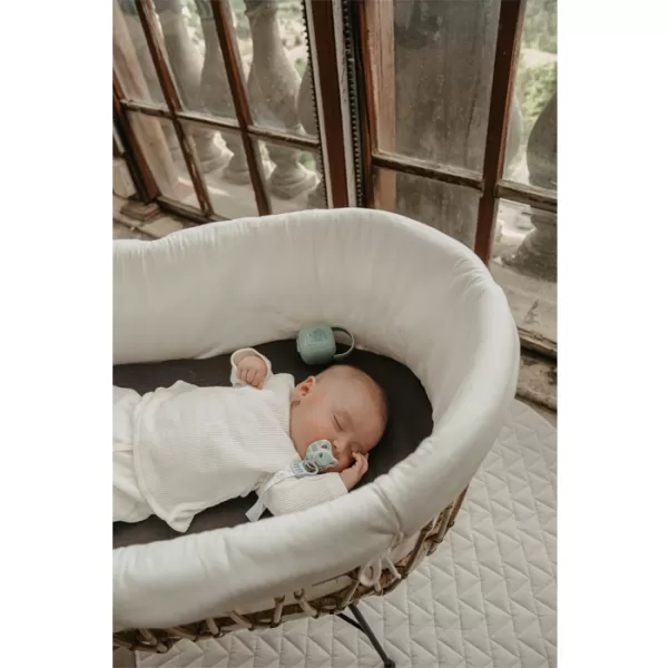 SUAVINEX Krabička na dudlík Dreams