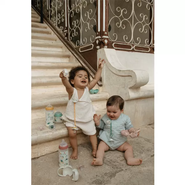 SUAVINEX Krabička na dudlík Walk