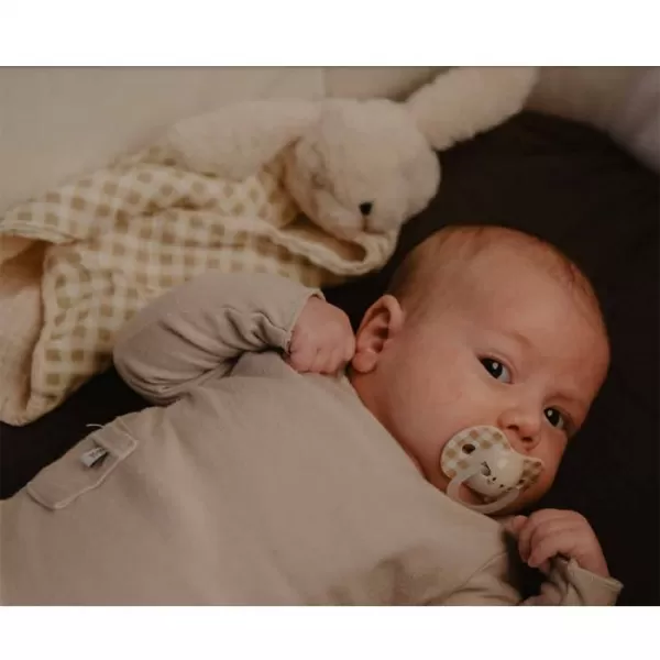 SUAVINEX Šidítko DEN&NOC fyziologické silikon 0-6 m - 2 ks